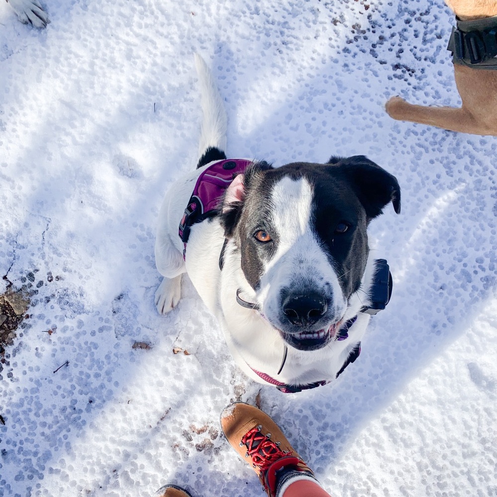 Meet your Posher, Taylor